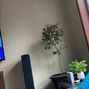 Meet your Posher, Bre